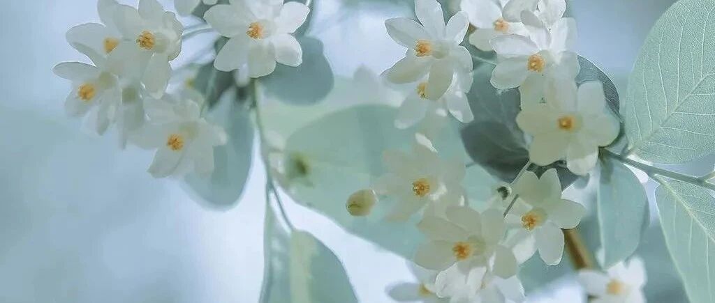 情感语录：真正的爱人，不是睡在一起，而是……