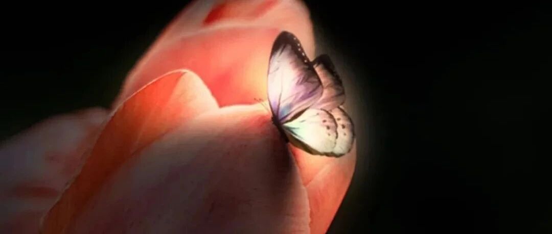 是什么决定了你当下的生活！励志语录