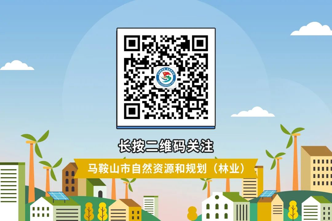 马鞍山农村土地管理法规