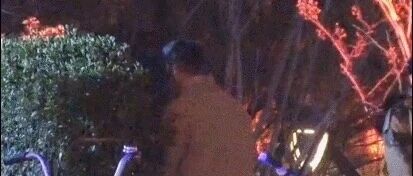 张颂文刚提“演员自律”,孙浩就街头小便?30年口碑败给一次放纵!