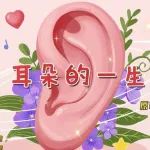 动漫科普 | 耳朵的一生&从孕前至老年，耳朵会经历什么