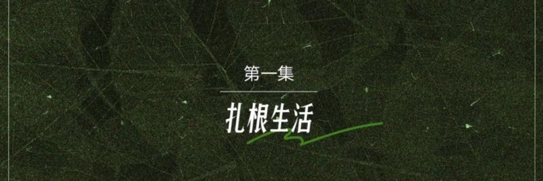 马嘉祺说灿烂的花园救了我