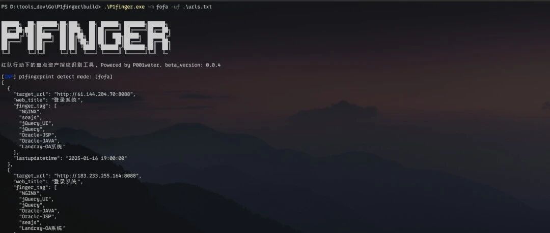 Example Image