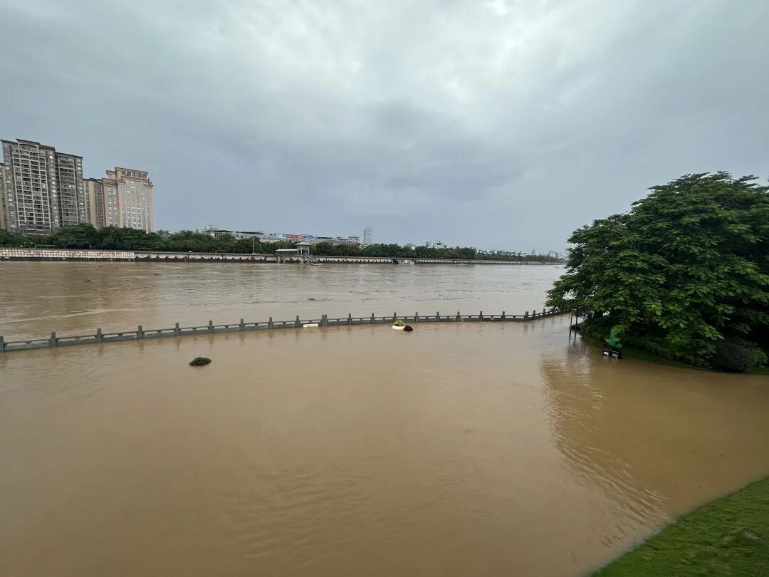 7日上午11时许，梅城亲水公园。（高讯 摄）