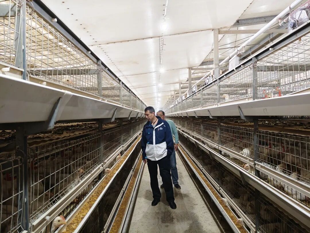 4.1-3 张习峰 魏永正服务50万的肉鸡场.jpg