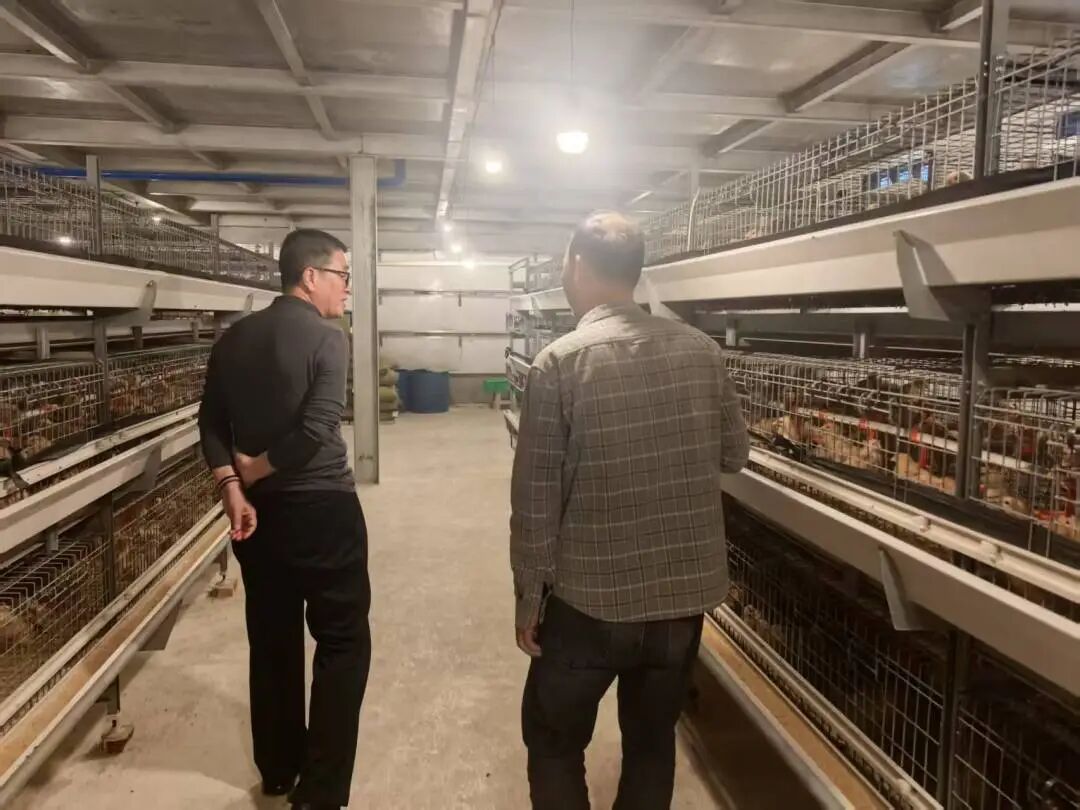 3.21-13 黄松发 巡视鸡场.jpg