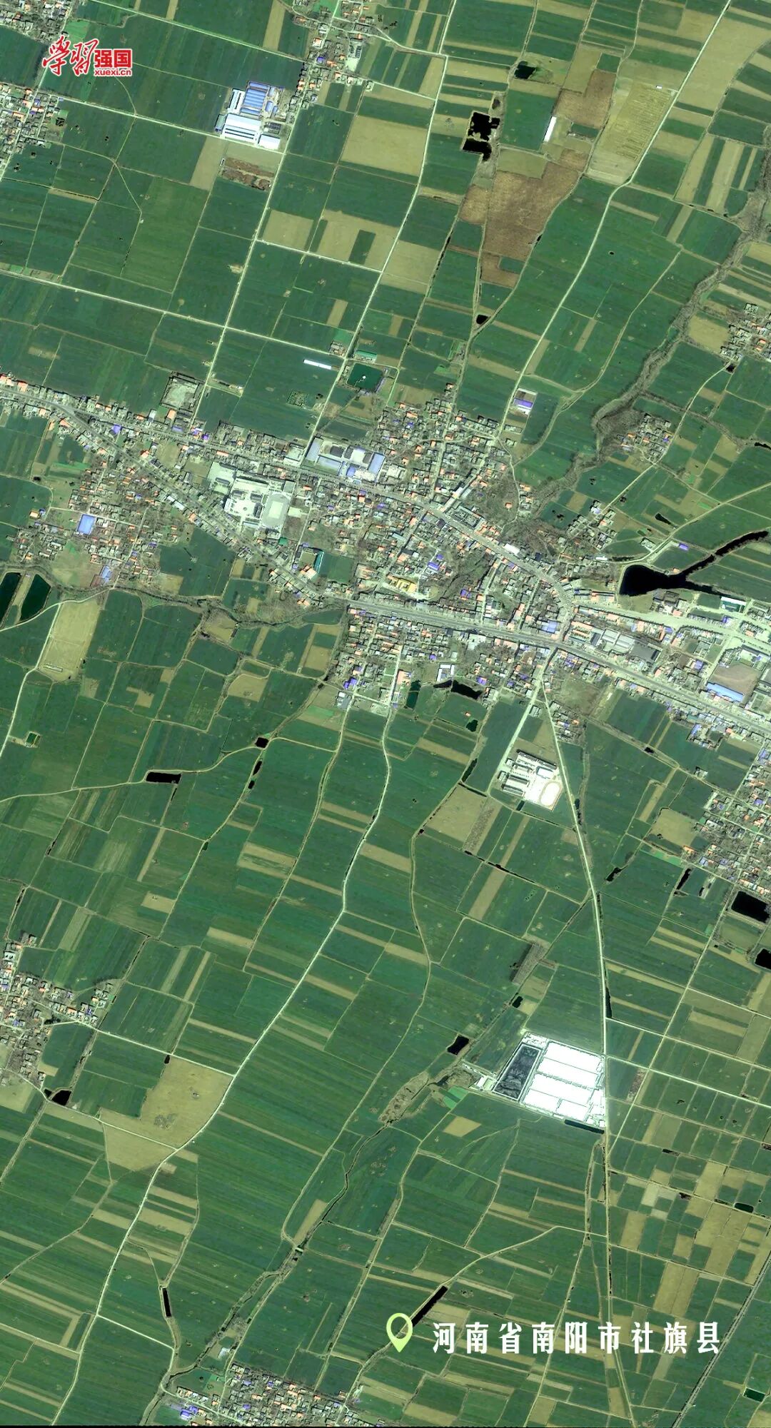 湖北省孝感市孝昌县计划春播作物面积59.74万亩,其中粮食45.