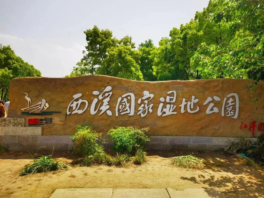 西溪湿地摇橹船