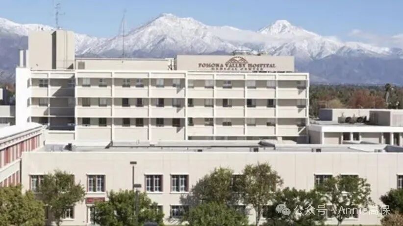 到美國生孩子的價格_從美國生孩子_在美國生孩子貴嗎