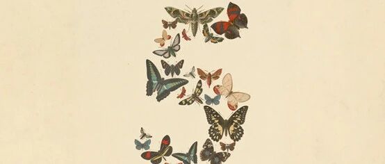 cover_image