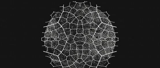 cover_image
