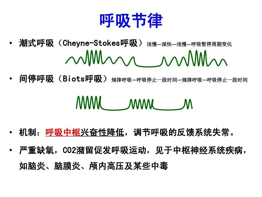 症，糖尿病酮症酸中毒，严重代谢性酸中毒等。10：潮式呼吸（cheyne-stokes）潮式呼吸又称陈