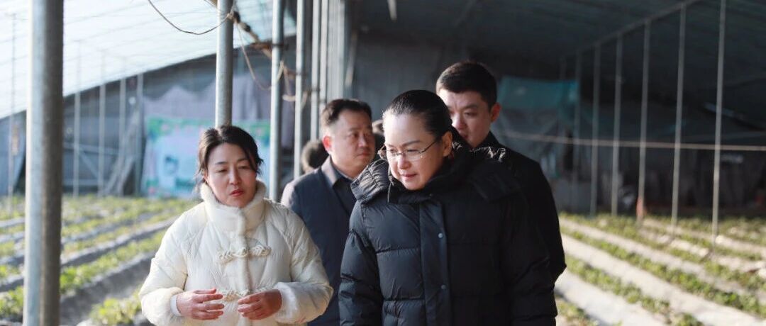 姜妍开展主题教育专题调研