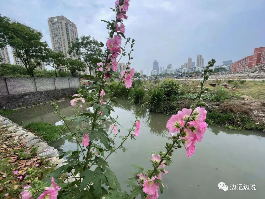 后悔做垂体瘤手术了_后悔手术瘤垂体做手术好吗_做垂体肿瘤手术会有什么风险