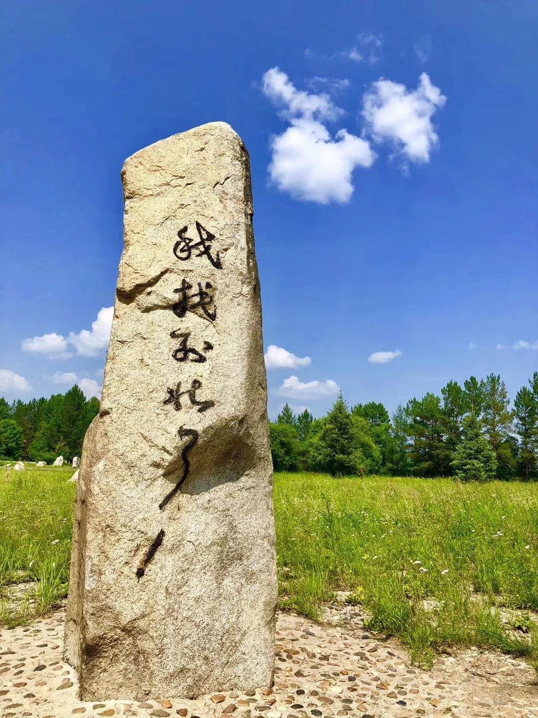 1.5小時就能到達中國「最北」，你想要的夏天「漠河4日遊」都有… 旅遊 第24張