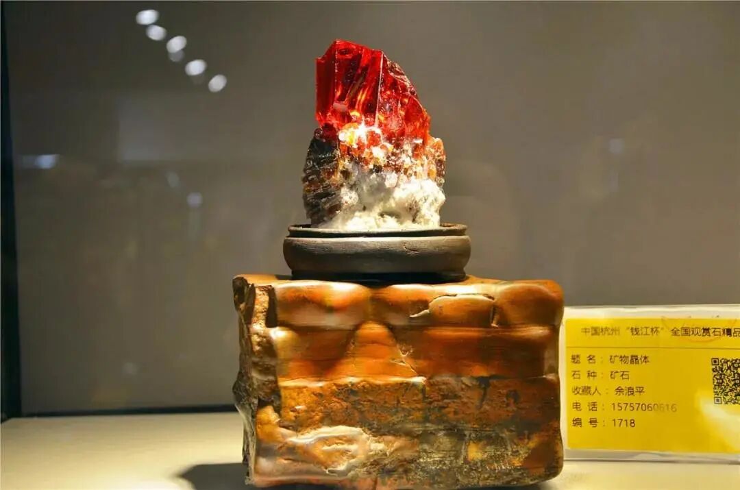 2020中国杭州赏石艺术节来啦！10月18日正式开启