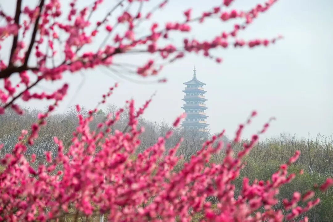 微信图片_20260313100104.jpg