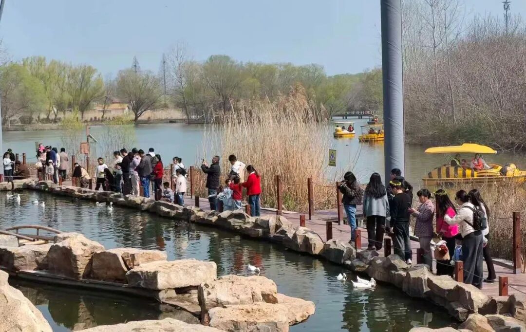 凤凰岛尹德勤 (2).jpg