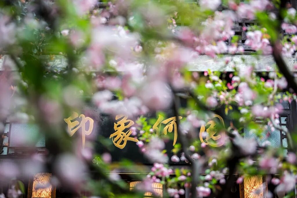 DSC_0672印象何园海棠.jpg