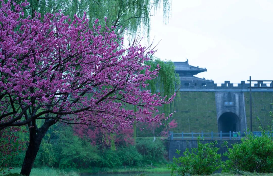 宋夹城春雨刘江瑞摄 (26).jpg