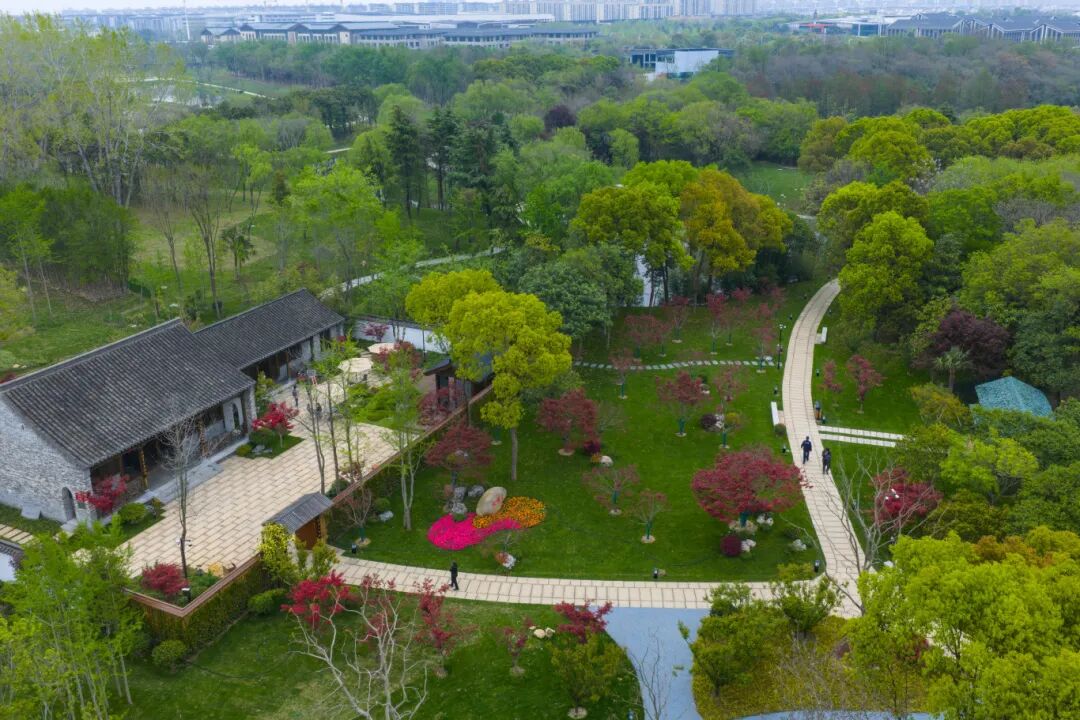 DJI_20260411114838_0725_D.jpg