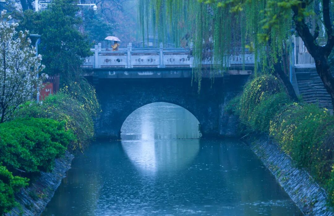 小秦淮河春雨绵绵 刘江瑞 摄 (21).jpg