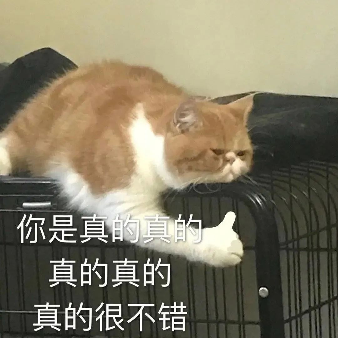 快乐游戏_戏乐游戏城_戏乐游是什么意思