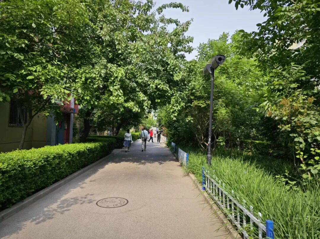 龙泽园街道龙跃苑三区社区为2005年入住的老旧小区,至今已有19年时间