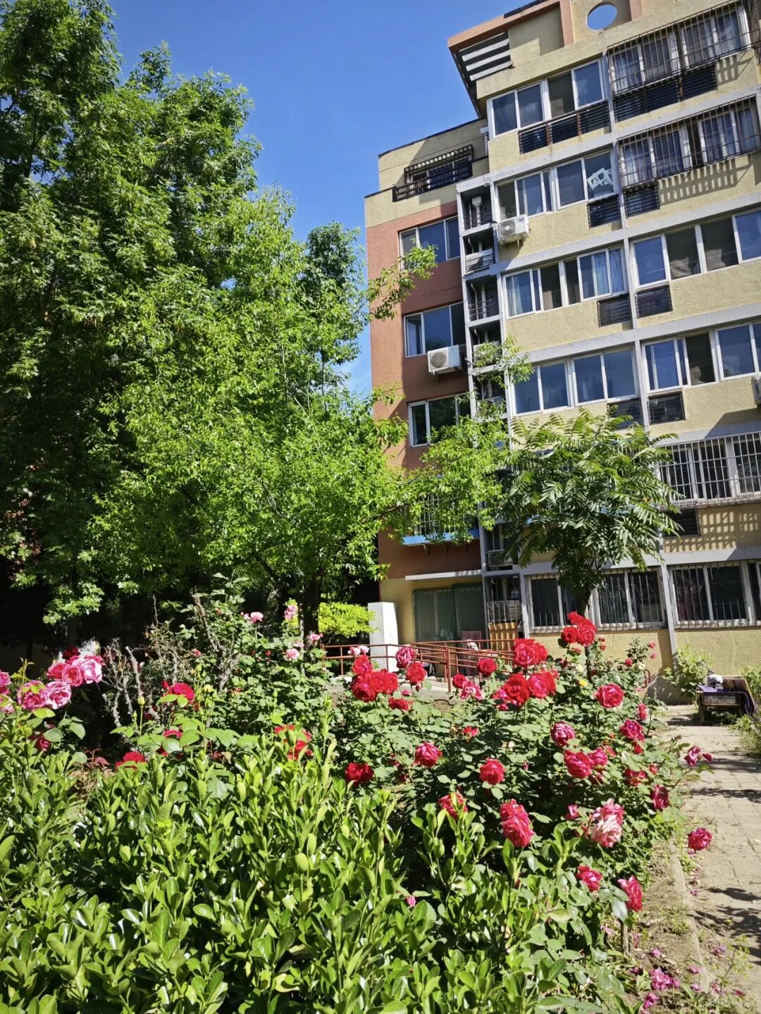 共商共治点"靓"龙泽家园 "以绿换绿"破解治理难题