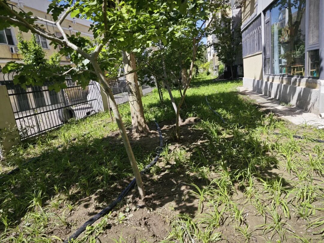 共商共治点"靓"龙泽家园 "以绿换绿"破解治理难题