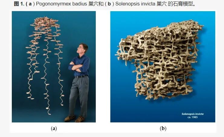 世界有一百扇窗，孩子有一百种语言 | 右满舵2024年秋季徒步成长课发布 配图82