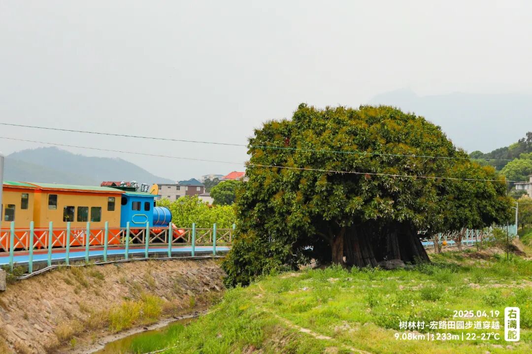右满舵百线共享 | NO.79：树林村-宏路田园步道穿越 配图5