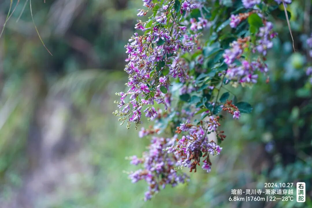 右满舵百线共享 | NO.76：灵川寺-盘古庙-萧家道穿越 配图33
