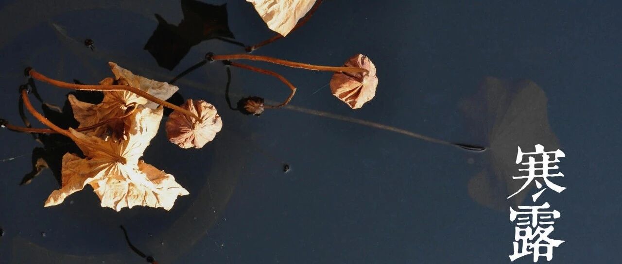 寒露养生：多“甘”少“辣”防秋燥