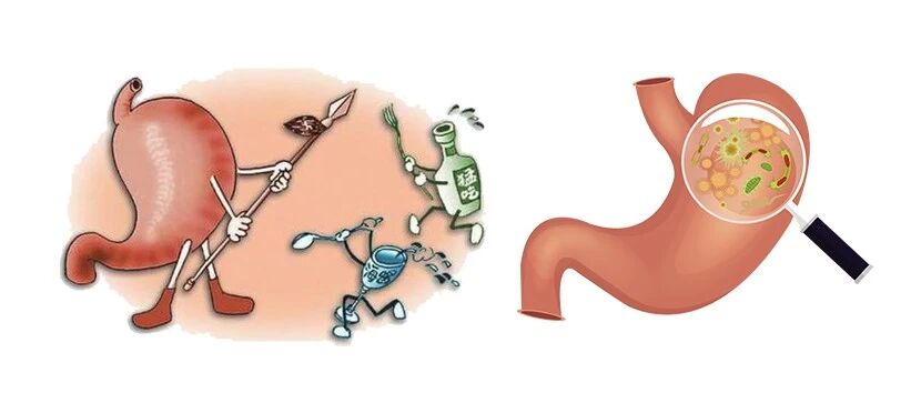 老胃病反复发作，寻因对症是关键。看看中医如何养胃！