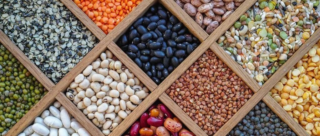 总说生病之后不能吃“发物”，到底什么是发物呢？建议收藏