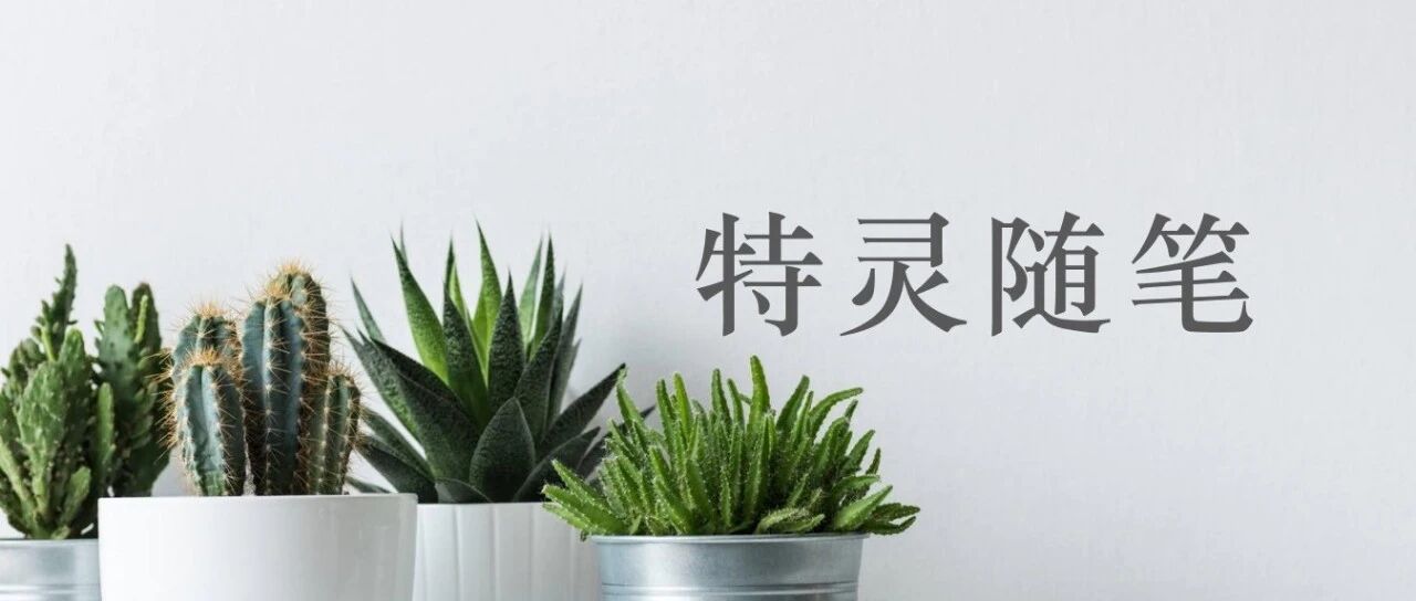 特灵随笔 - 封面图