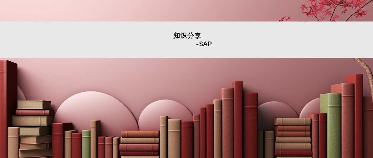 关于 SAPREFX 与 CAS21差异的开发调整方案 - 封面图