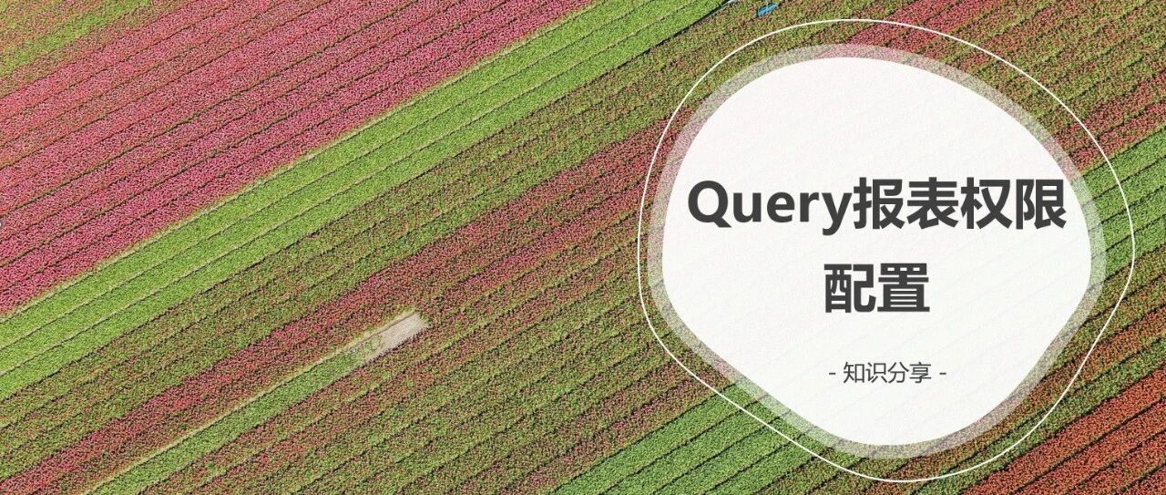 Query 报表权限配置 - 封面图