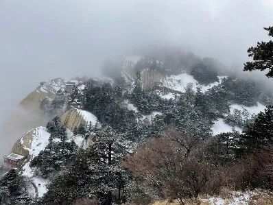 打工历险记 - 封面图