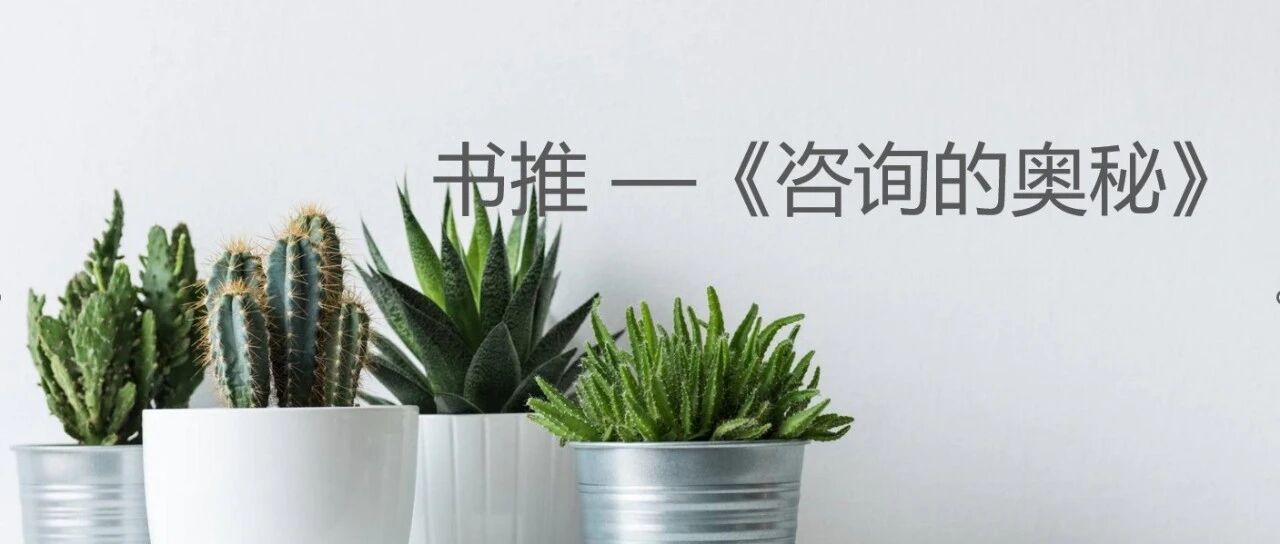 书推咨询的奥秘 - 封面图