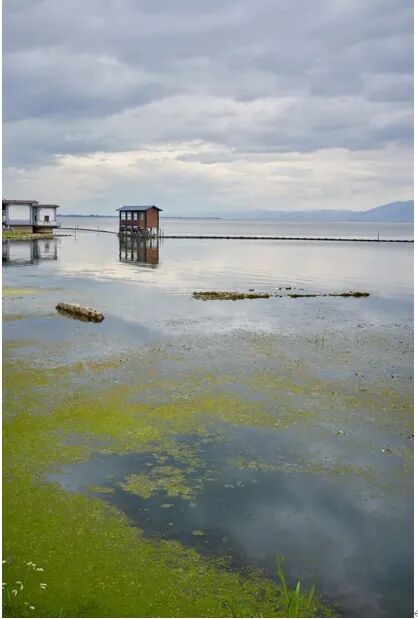 去有风的地方 - 封面图