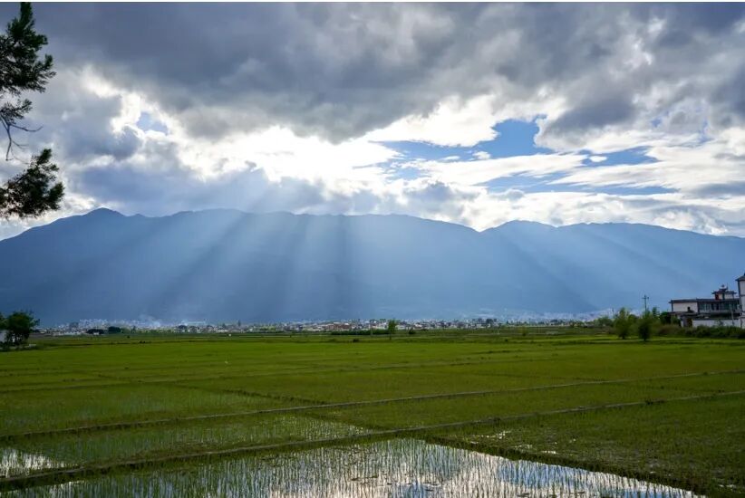 去有风的地方 - 封面图