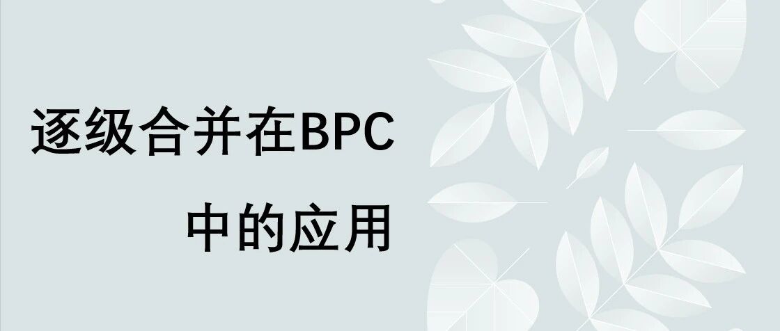 逐级合并在 BPC 中的应用 - 封面图