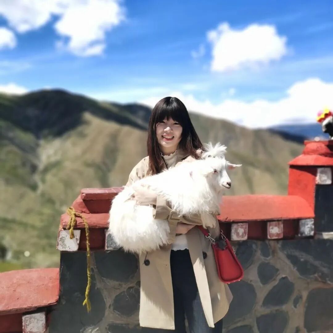 资产账务调整如何仅在税簿录入资产 - 封面图