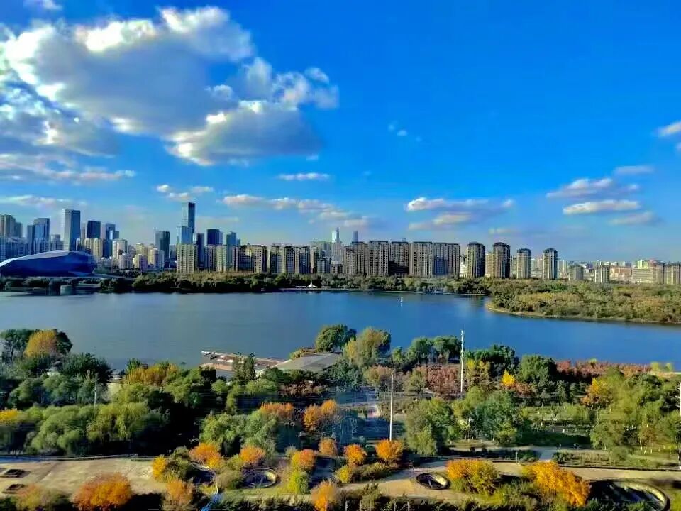 项目生活小记东北项目组 - 封面图