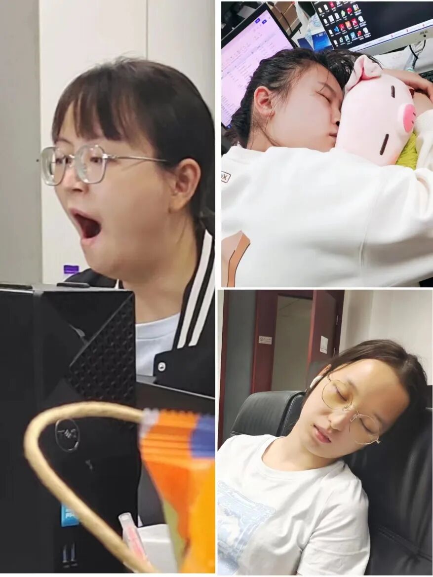 项目生活小记东北项目组 - 封面图