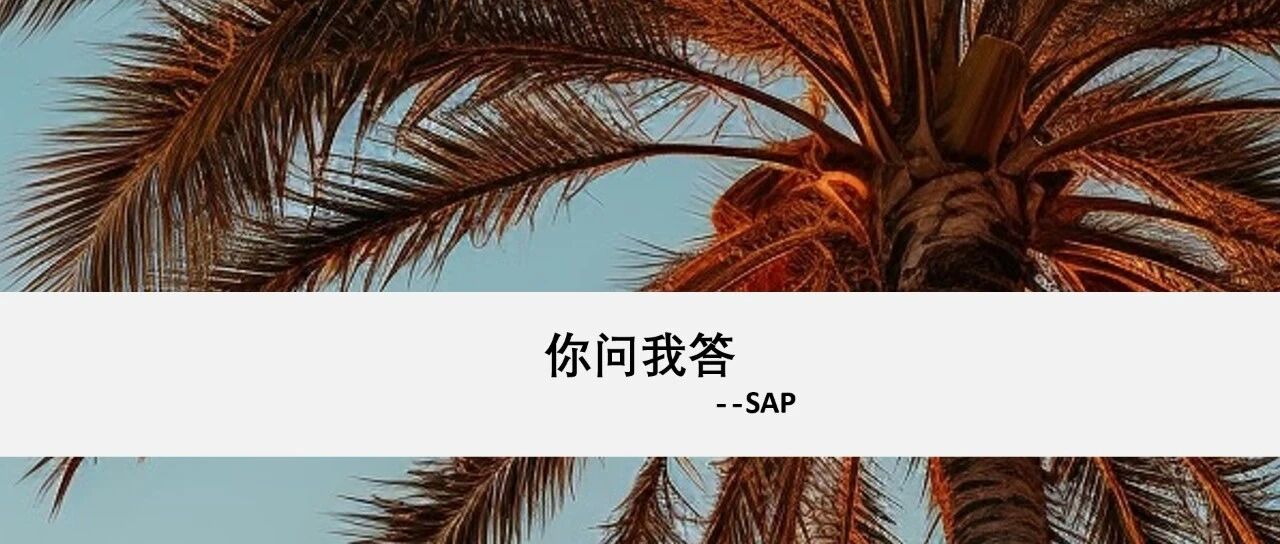 能源行业在 SAP 系统中如何设计组织架构 - 封面图