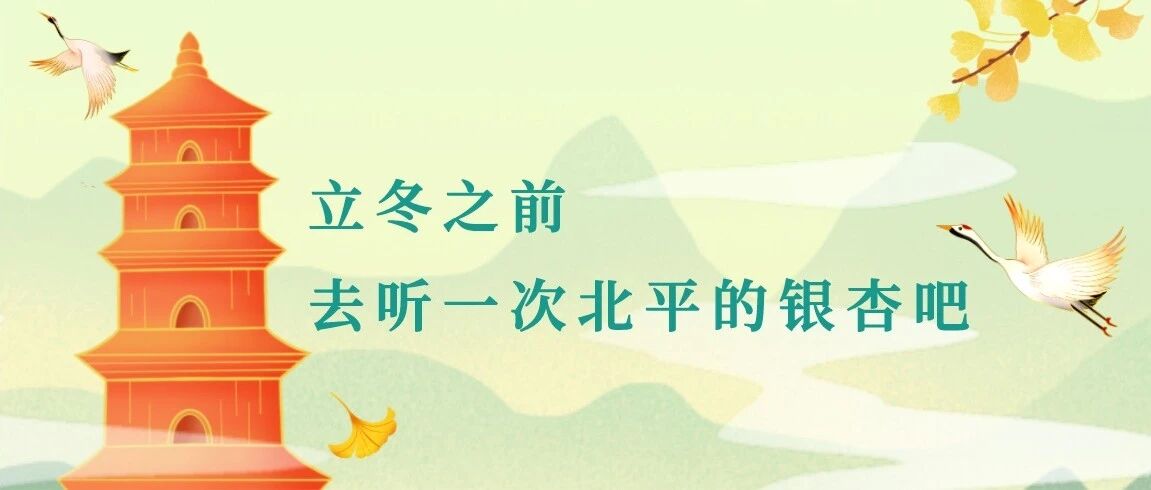 立冬之前去听一次北平的银杏吧 - 封面图