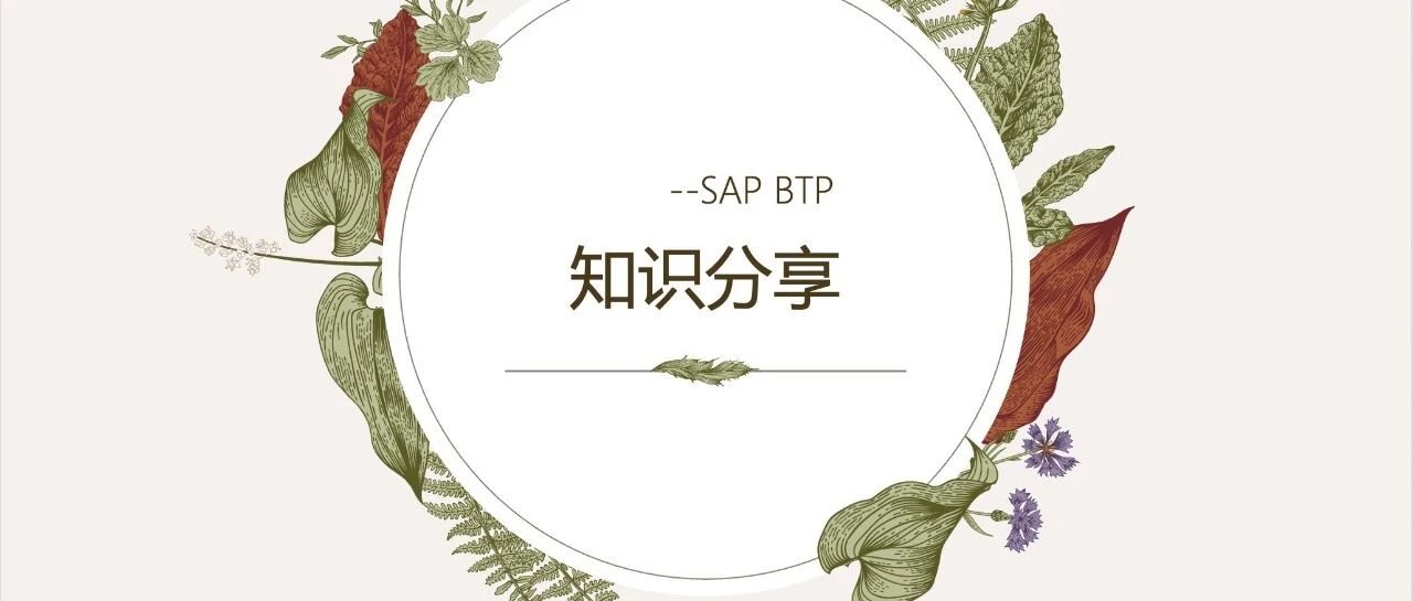 SAPBTP 应用权限分配 - 封面图